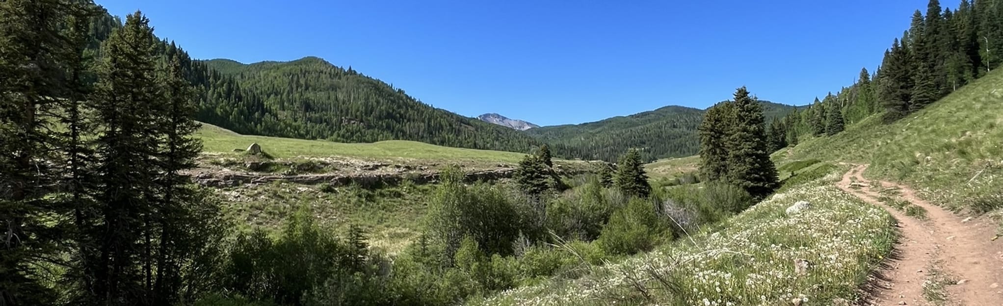 AllTrails | Hermosa Creek Trail from Hermosa: 75 Reviews, Map - Colorado