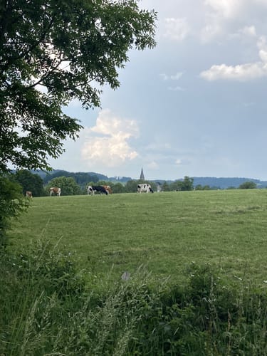 Bergischer Streifzug #20 Böllweg
