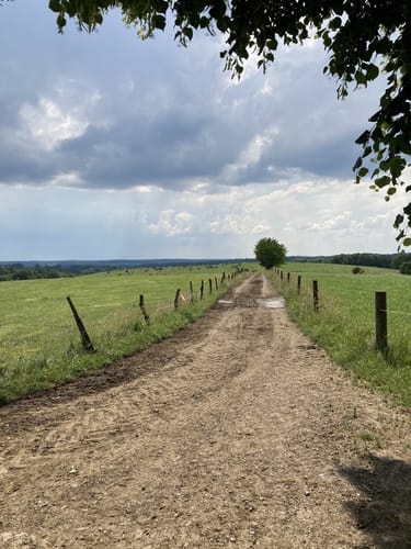 Bergischer Streifzug #20 Böllweg