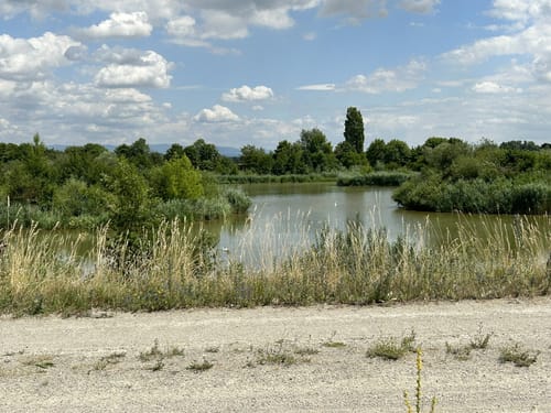 Donau im Wandel (Fernradwanderweg)