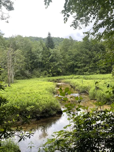 10 Best Hikes and Trails in Otter Creek Wildlife Management Area