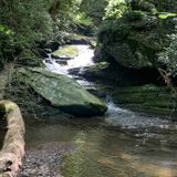 Goforth Creek Trail, Tennessee - 389 Reviews, Map | AllTrails