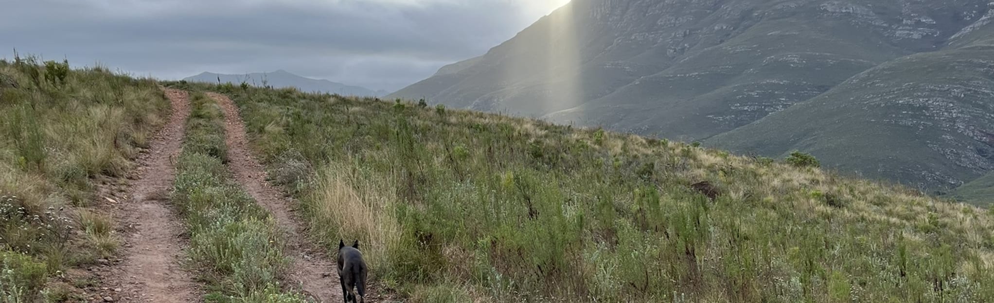 Greyton Viewpoint Ride, Western Cape, South Africa 2 Reviews, Map