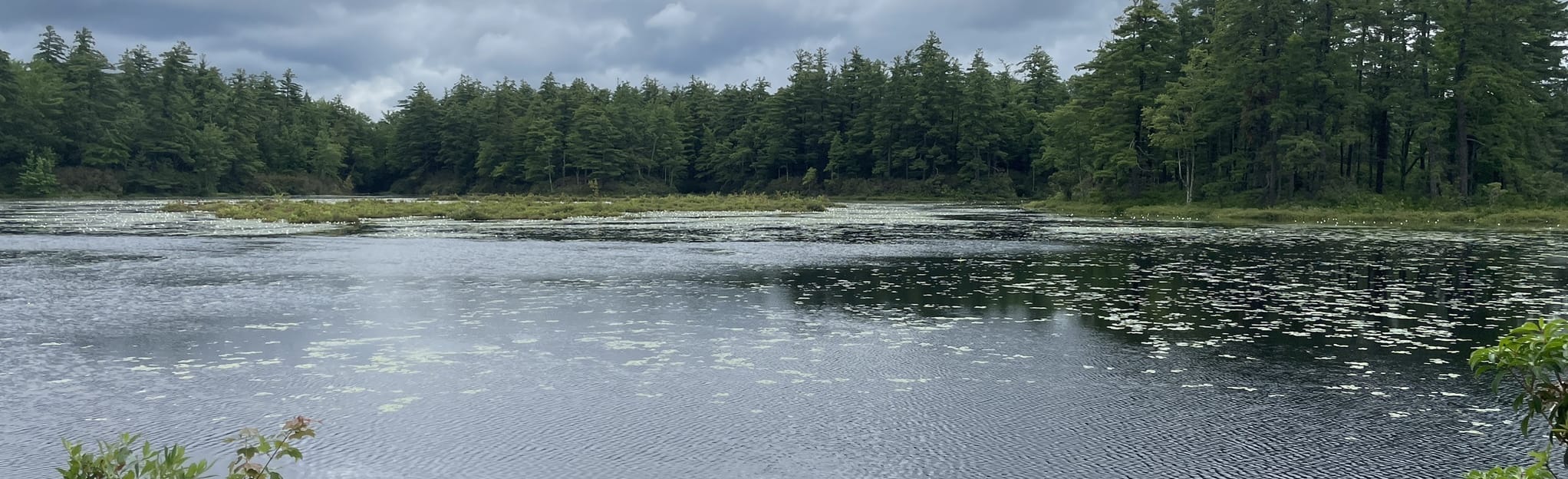 Pratt Pond Loop, New Hampshire 242 Reviews, Map AllTrails