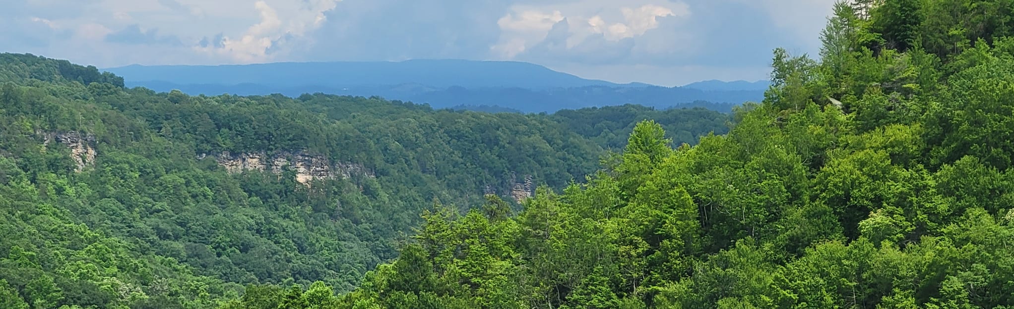 AllTrails Bear Rock 14 Reviews, Map Virginia