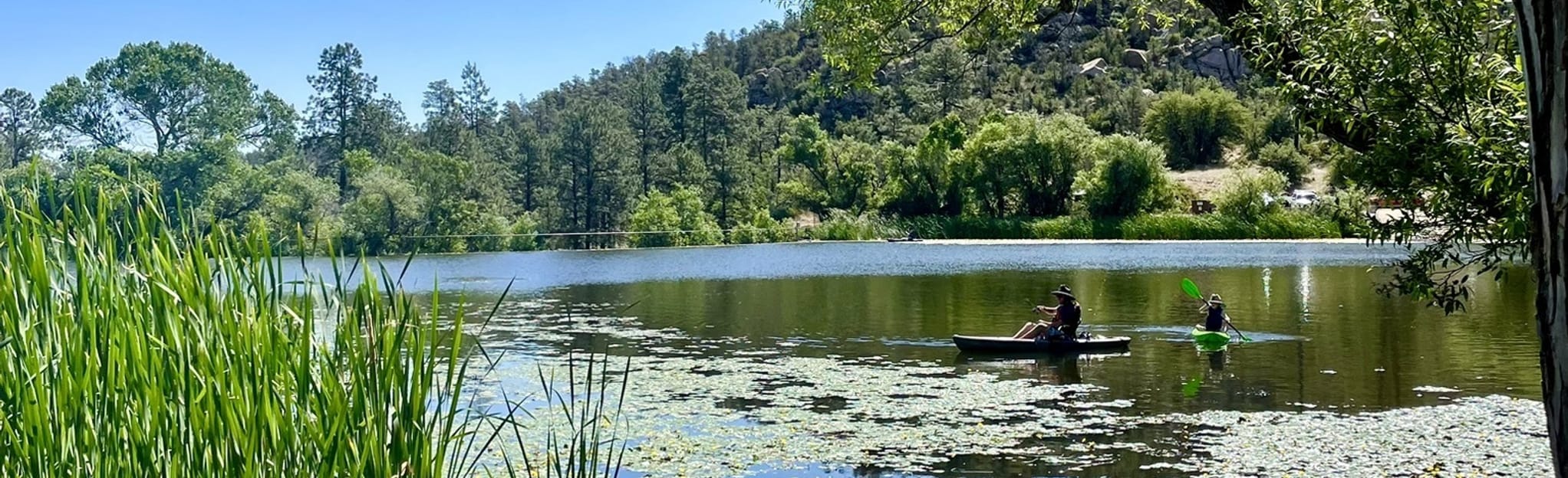 Balancing Rock Trail, Arizona - 489 Reviews, Map | AllTrails