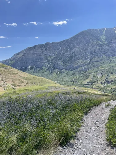 Best Hikes and Trails in Provo Canyon AllTrails