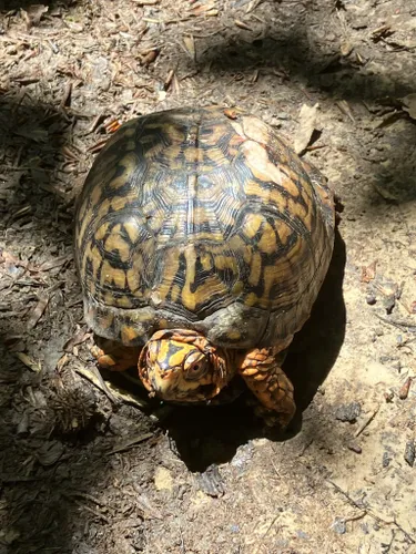 Best Hikes And Trails In Jug Bay Natural Area 