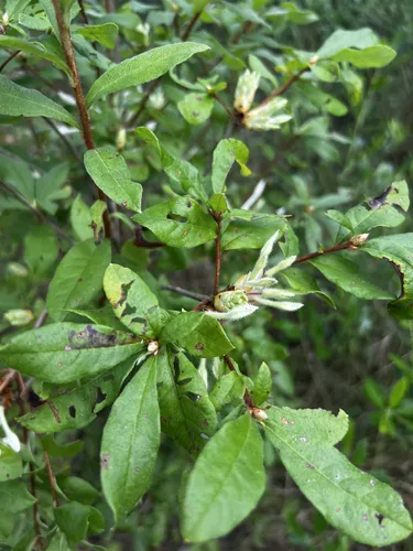 Best Hikes and Trails in Bear Lake Recreation Area | AllTrails