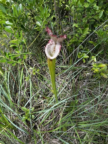 Best Hikes and Trails in Bear Lake Recreation Area | AllTrails