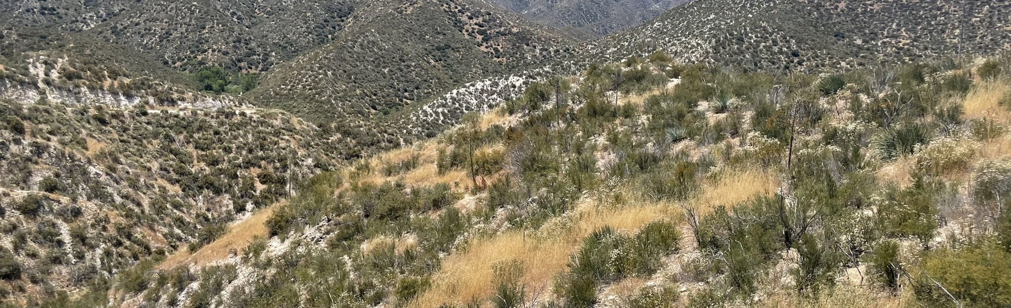 Pacific Crest Trail Angeles Forest Highway to Soledad Canyon Road
