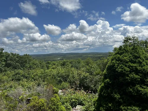 Pimple Hill via Creek, Dyson, and Knorr Trail Loop