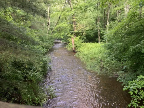 Best Hikes and Trails in Laughing Brook Wildlife Sanctuary | AllTrails