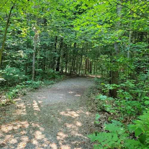 Best Hikes And Trails In Wolter Woods Park 