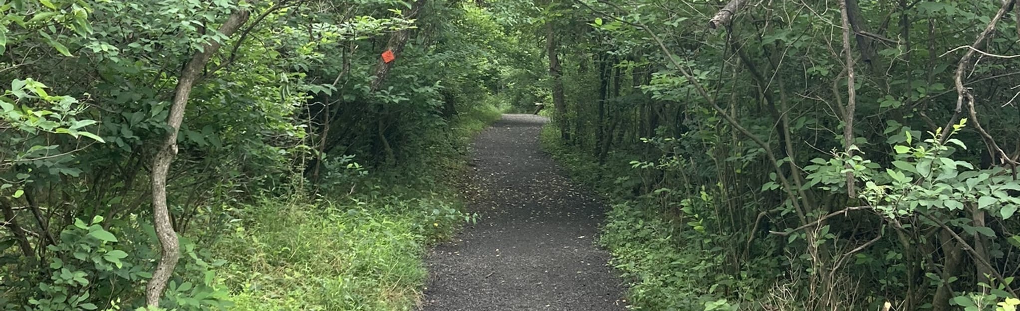 Alpine Street, Upland, Trout Run Trail Loop, Pennsylvania 1,280