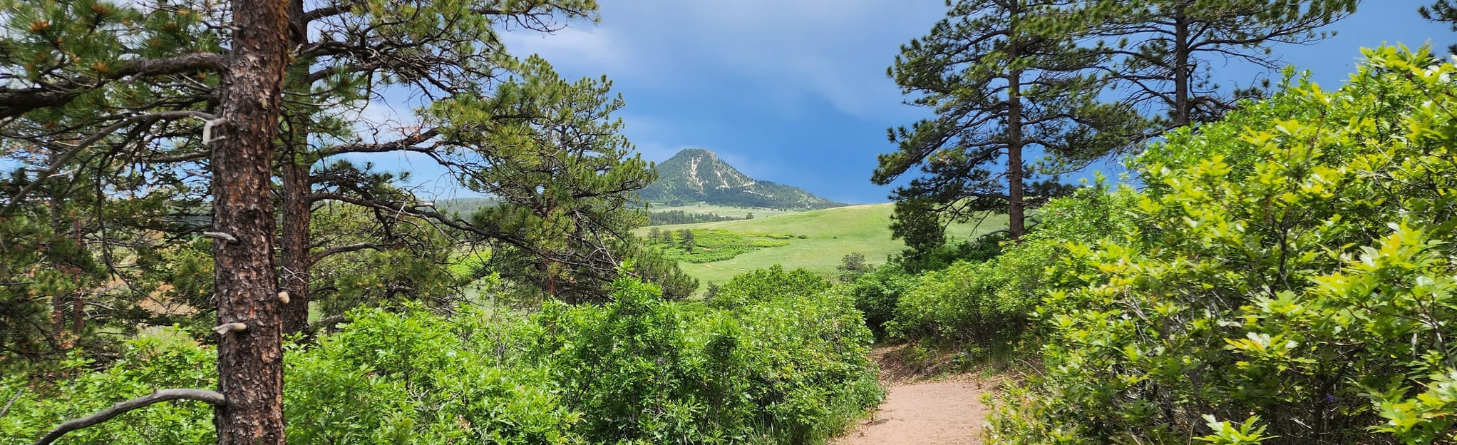 Wildlife Overlook and Gambel Oak Loop 153 Reviews, Map Colorado