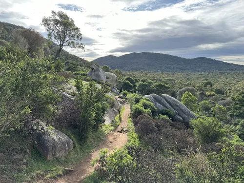 You yangs best sale mountain bike tracks