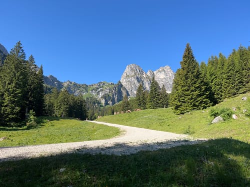 Ostlerhütte und Reichenbachklamm