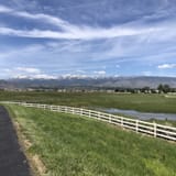 Damonte Ranch Wetland Loop, Nevada - 1,083 Reviews, Map | AllTrails