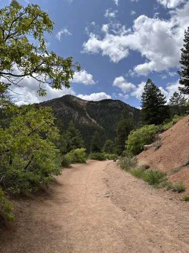 LONG/LAST  Colorado Springs CO