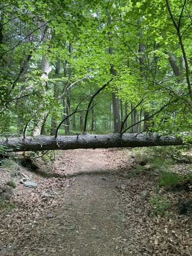 Eisenberg-Siegelweg