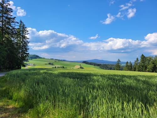 Waldeck Rundweg (rotes Rechteck)