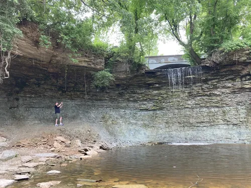 Best Hikes and Trails in Wequiock Falls County Park AllTrails