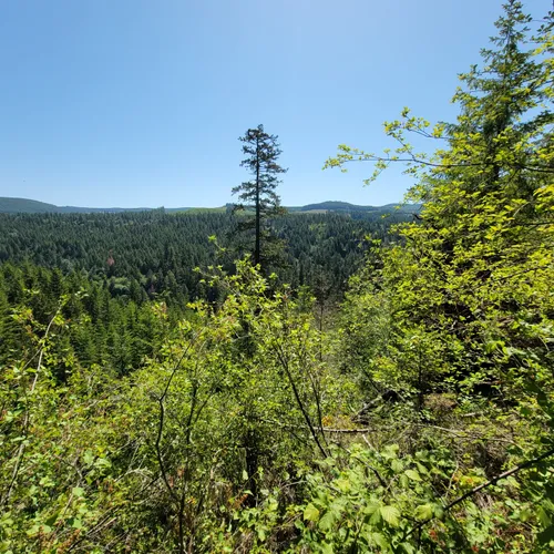 Best Hikes and Trails in Molalla River Corridor Recreation Area AllTrails