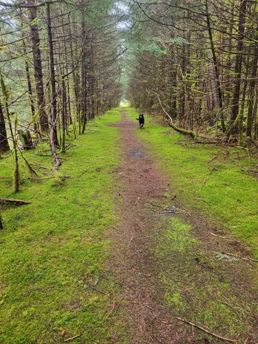 Escape to Tranquility: Your Guide to Buskin River State Recreation Site