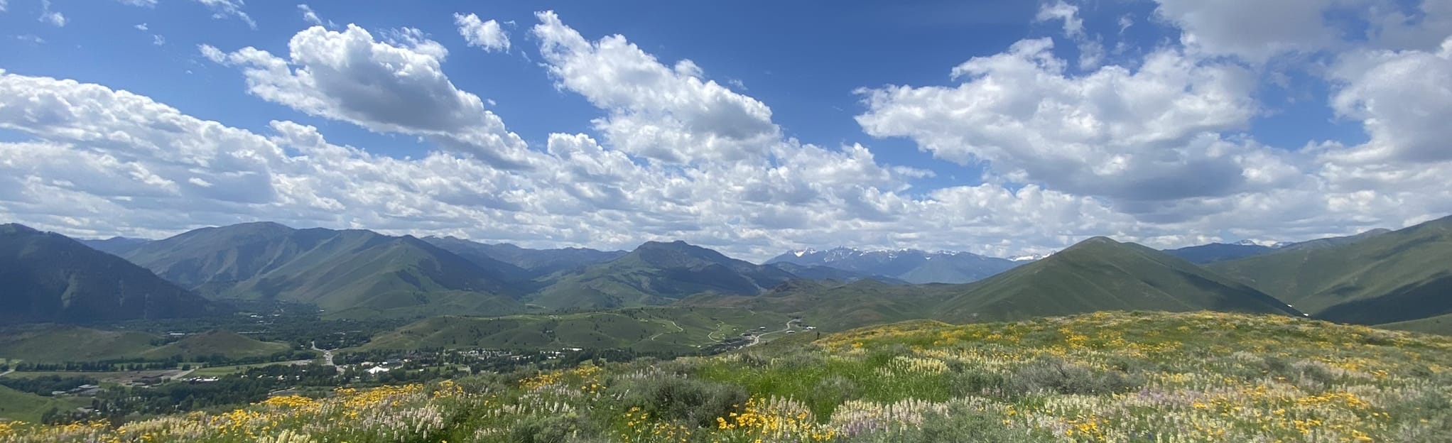 Prospect Hill Loop 166 Reviews, Map Idaho AllTrails