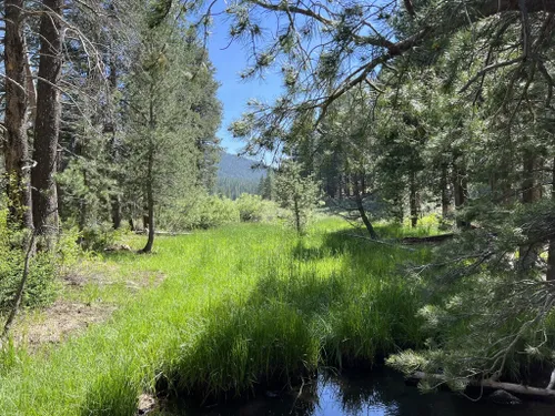 10 Best Trails and Hikes in Truckee | AllTrails