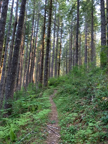 Best Lake Trails in Grand Ronde | AllTrails