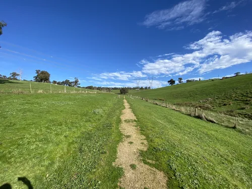 Beste wandelingen en routes in Kangaroo Ground AllTrails