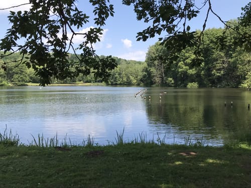 Steinertsee Rundwanderung