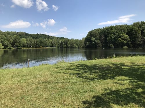 Steinertsee Rundwanderung