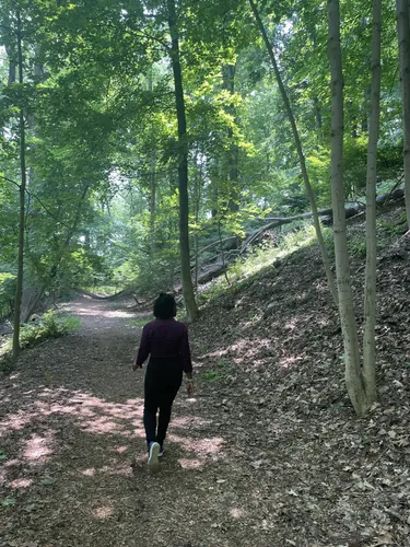 Best Hikes and Trails in Gollub Park | AllTrails