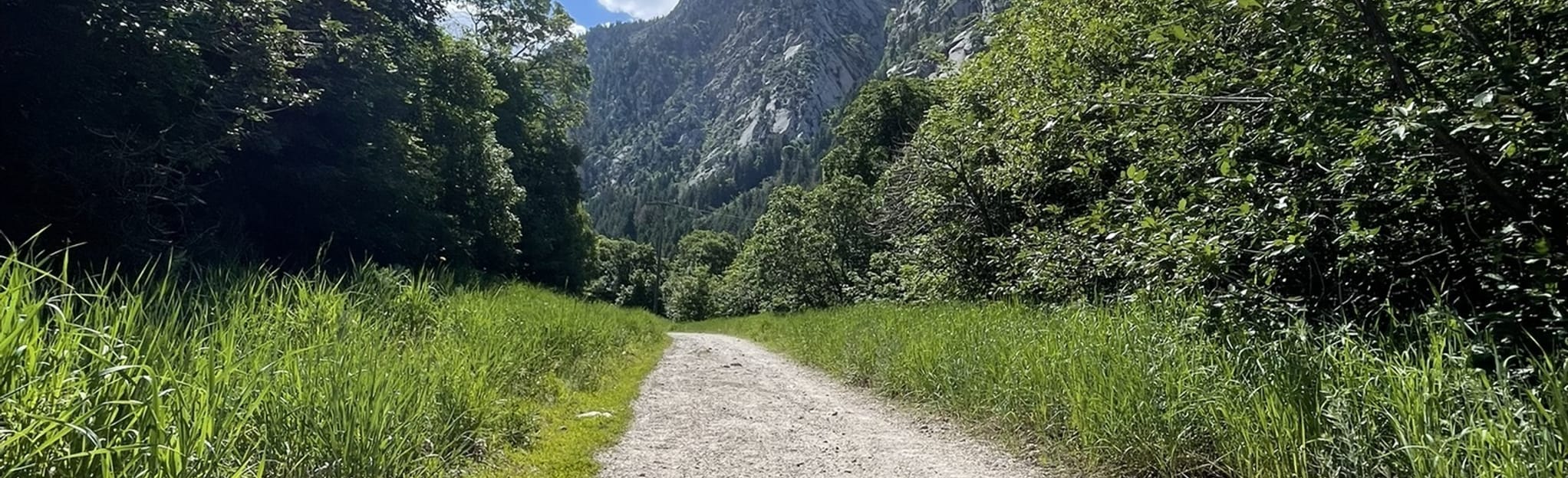 Temple Quarry and Little Cottonwood Creek Trail, Utah 643 Reviews