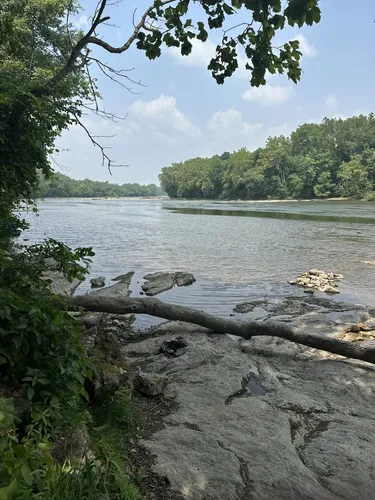 Best Hikes and Trails in Shannondale Springs Wildlife Management Area