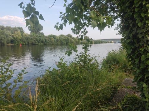 Mainradweg Etappe 5: Würzburg - Lohr am Rhein
