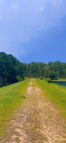 Best Hikes and Trails in Bear Lake Recreation Area | AllTrails