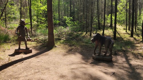 Wasgau Seen Tour (Premiumwanderweg)