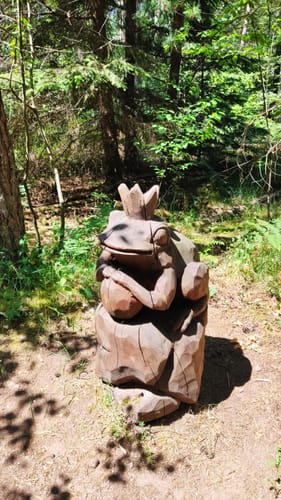 Wasgau Seen Tour (Premiumwanderweg)