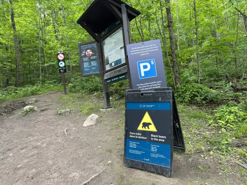 is gatineau park dog friendly