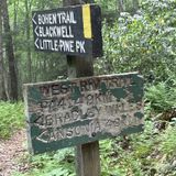 Tioga West Rim Trail, Pennsylvania - 531 Reviews, Map | AllTrails