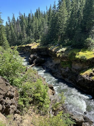 Photos of Rogue River–Siskiyou National Forest, Oregon waterfall trails