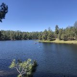 Woods Canyon Lake Loop, Arizona - 790 Reviews, Map | AllTrails