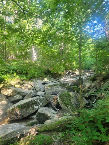 Escape to Nature's Embrace: Your Guide to Randolph County State Recreation Area