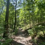 Pigeon Roost Trail, Arkansas - 1,012 Reviews, Map | AllTrails