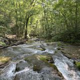 Roaring Run Hoop Hole Trail, Virginia - 702 Reviews, Map | AllTrails