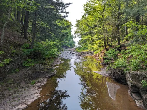 are dogs allowed at porcupine mountains state park